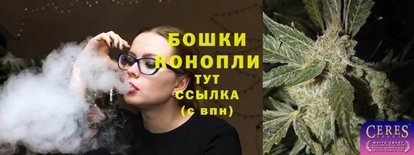 PSILOCYBIN Заводоуковск