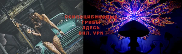 Альфа ПВП Белокуриха