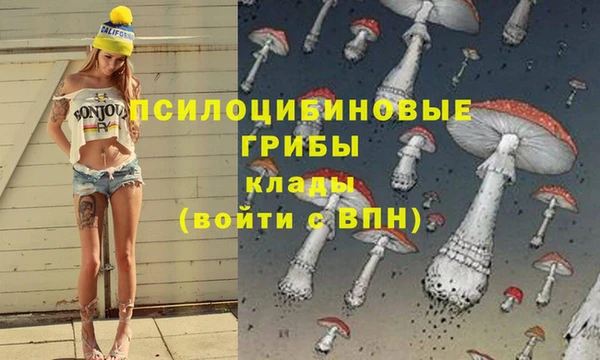 Альфа ПВП Белокуриха
