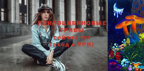 Альфа ПВП Белокуриха