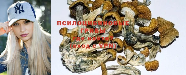 Альфа ПВП Белокуриха