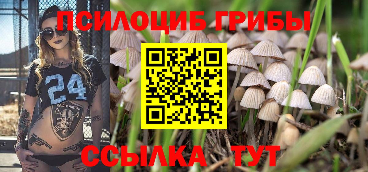 Псилоцибиновые грибы мицелий Бирск
