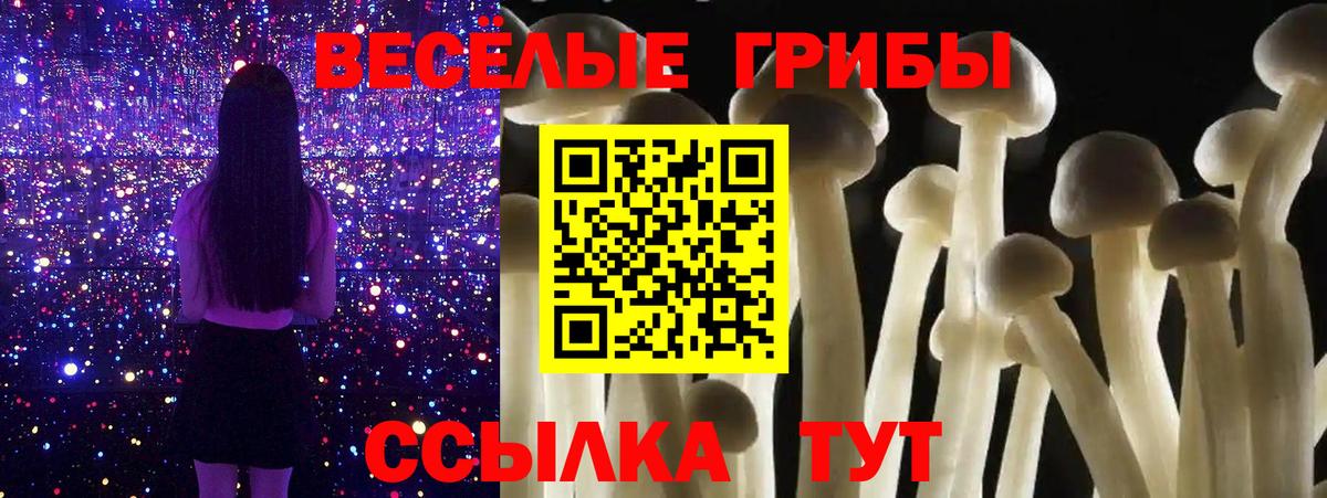 Псилоцибиновые грибы прущие грибы Бирск