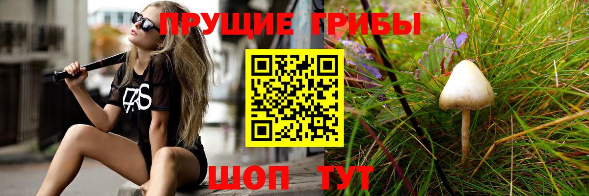 Галлюциногенные грибы Magic Shrooms  Вход с VPN  где купить наркоту  Бирск 